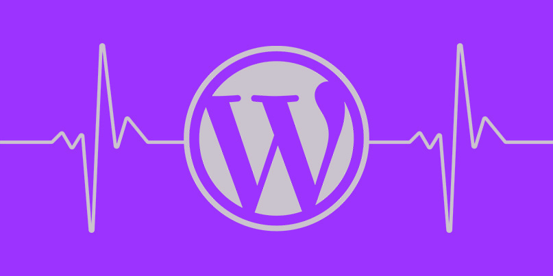 WordPress 5.6与新的自动更新UI，网站健康增强